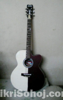 গিটার